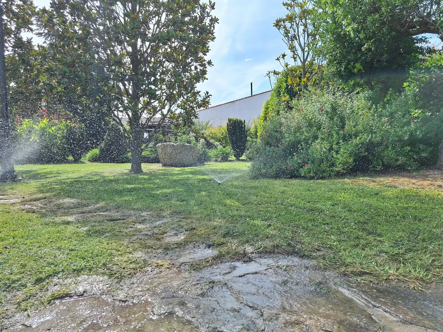 Finca rústica en venta en Peñaranda de Bracamonte