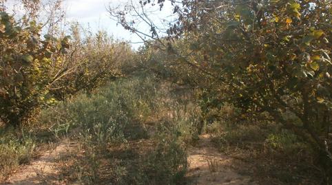 Foto 4 de Terreny en venda a El Rourell, Tarragona
