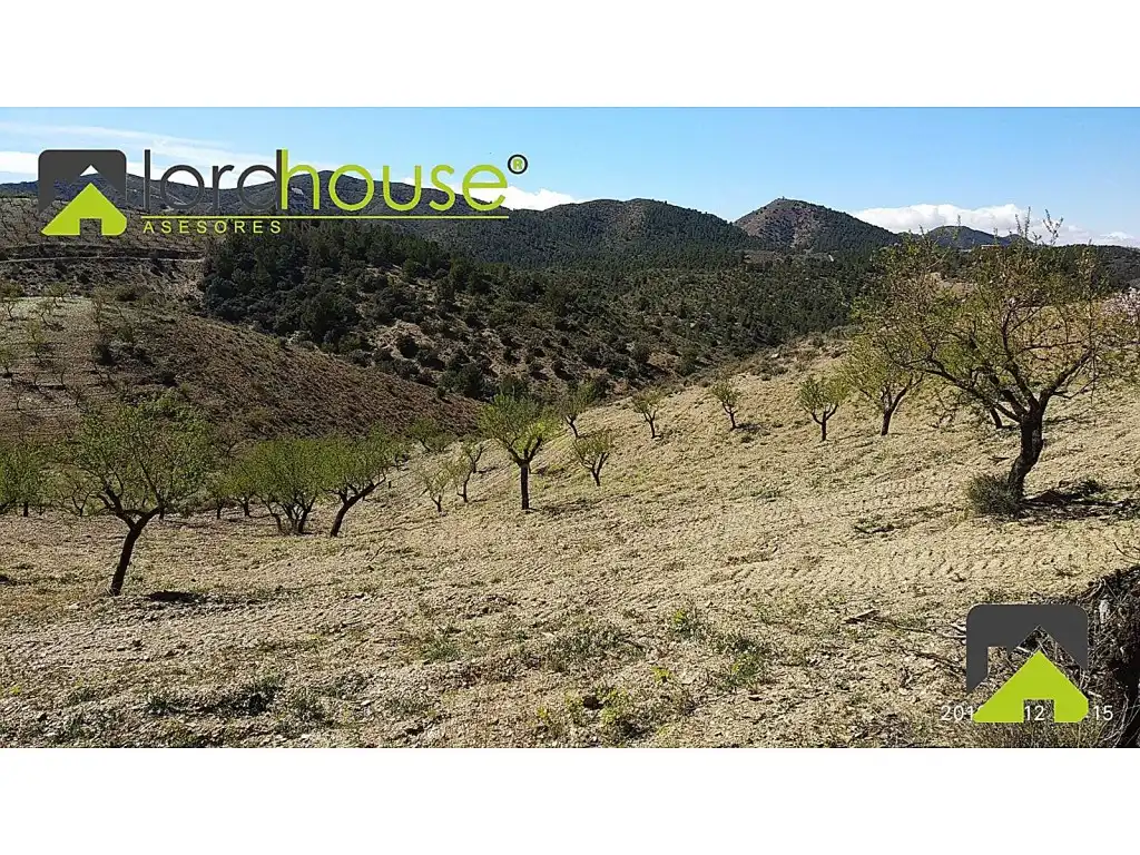 Finca rústica en venta en Lorca