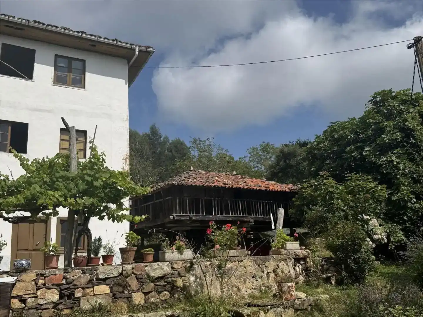 Vista exterior de Pis en venda en Grado amb Jardí privat, Moblat i Balcó