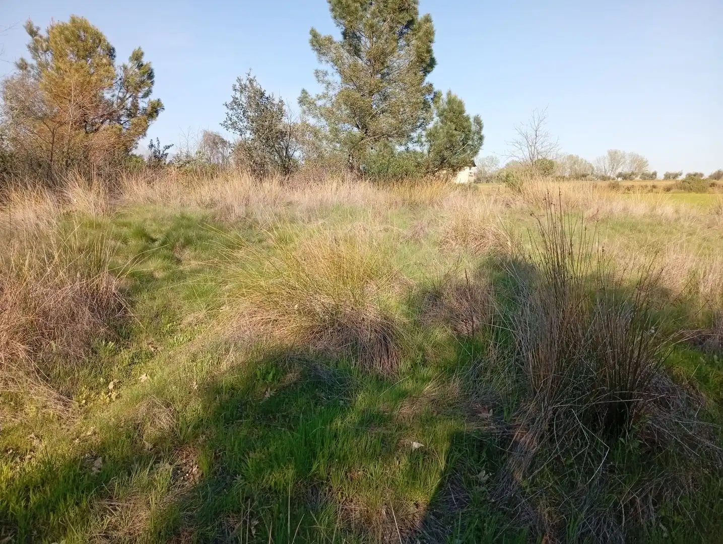 Terreni e lotti in vendita a Villanueva de la Vera, imagen 38