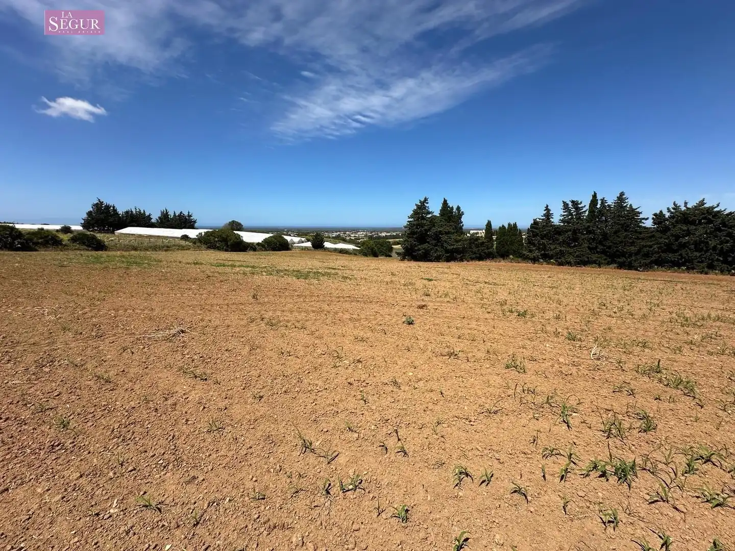 Terreno en venta en Conil de la Frontera