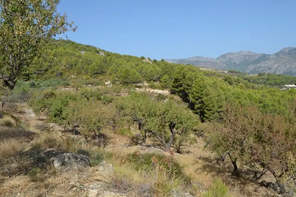 Grundstücke und Bauplätze zum Verkauf in El Castell de Guadalest, imagen 6