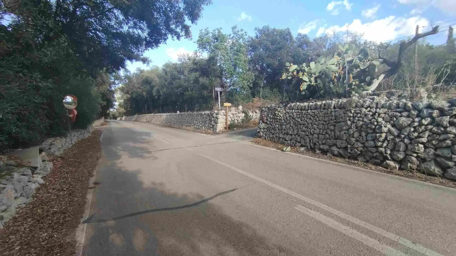 Casa rústica amb jardí en venda a Álora, imagen 20