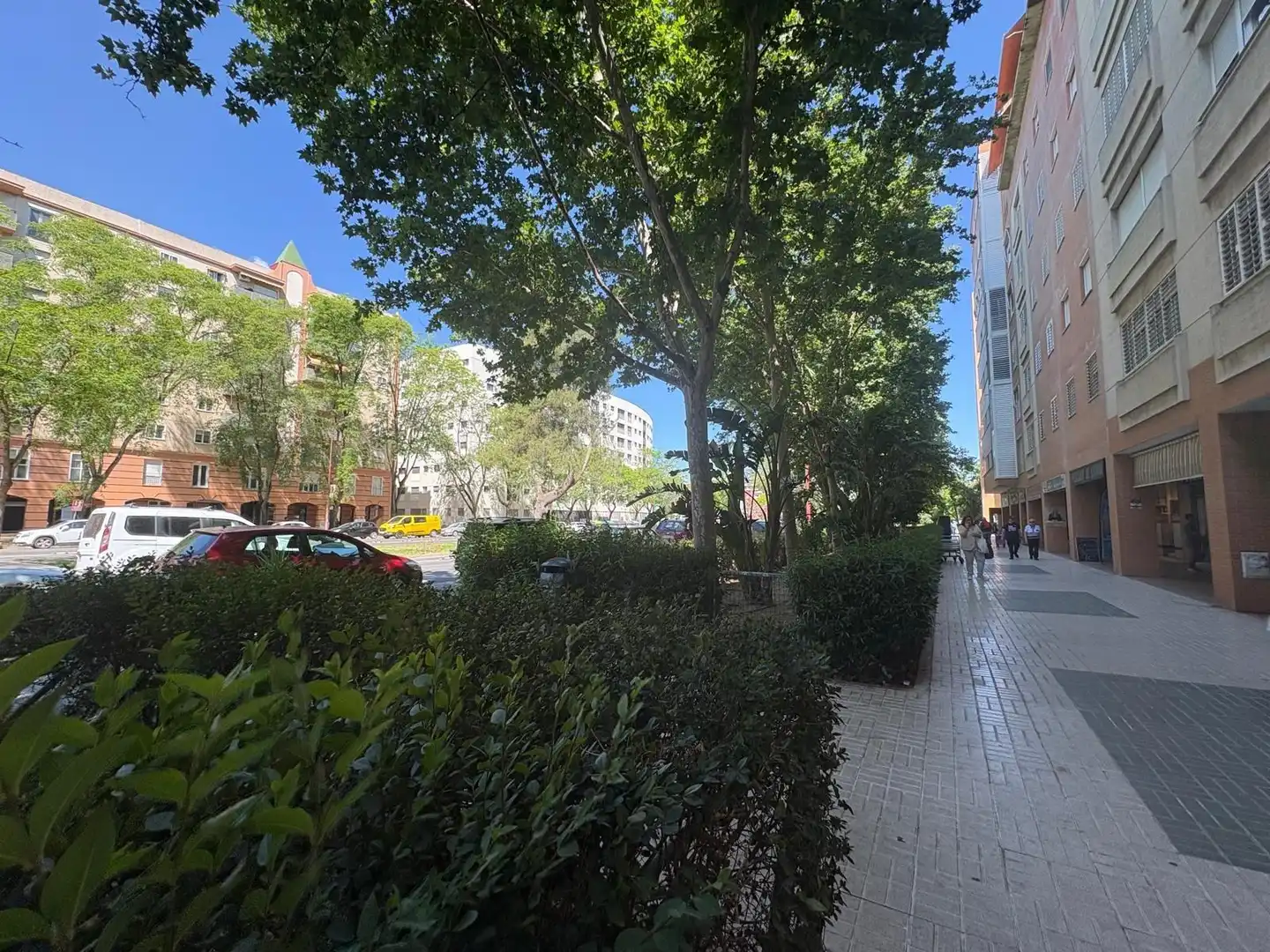 Appartamento con terrazza in affitto a Avenida Avenida Ciencias, imagen 57