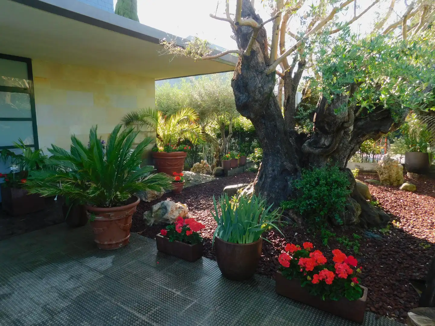 Casa en venta en Olaz, imagen 68