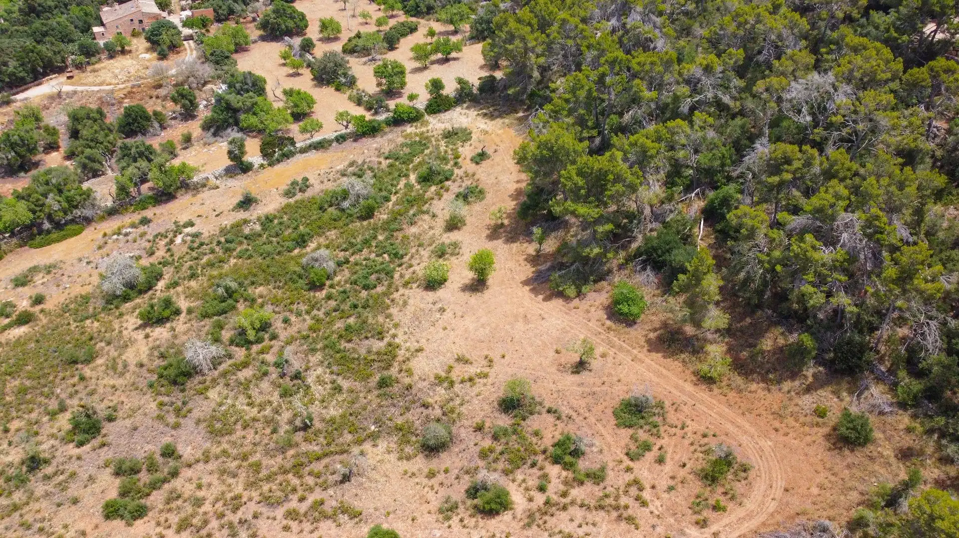 Lands and plots for sale in Felanitx Poble, imagen 11