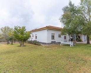 Country house for sale in Calle Huerta Grande, Alosno pueblo