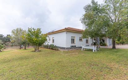 Finca rústica en venda a Calle Huerta Grande, Alosno pueblo