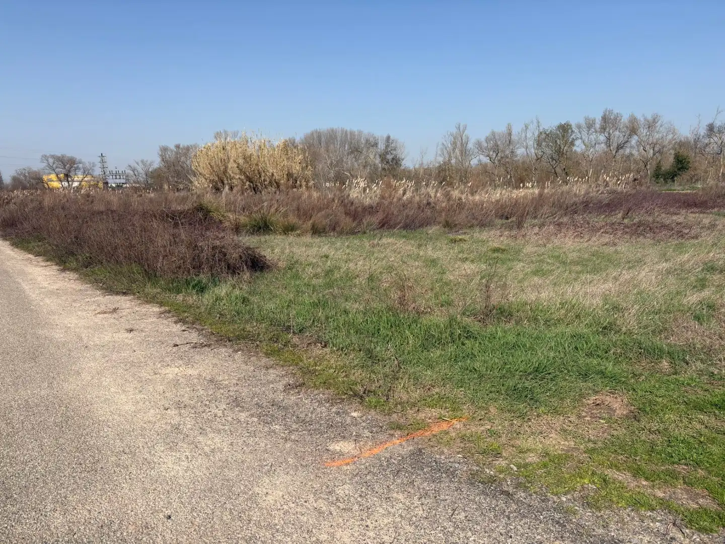 Rural land for sale in Agoncillo, imagen 8