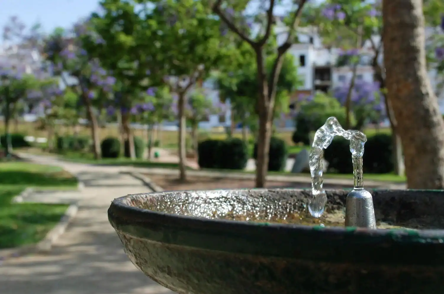Apartament amb piscina en venda a Mezquitilla, imagen 23