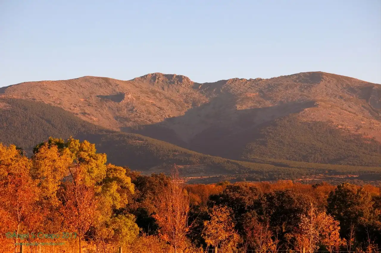 Vista exterior de Casa o xalet en venda en Navas de Riofrío amb Jardí privat i Terrassa