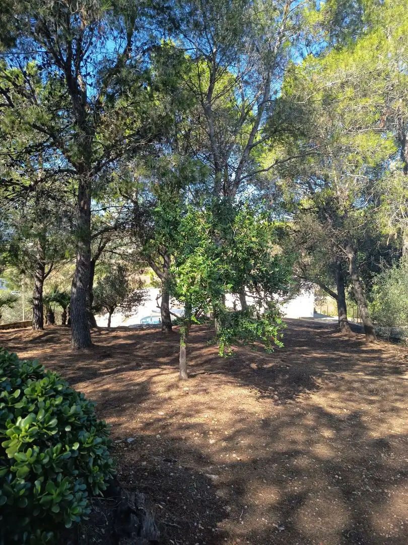 Villa avec terrasse à vendre à EL PUIG, imagen 102