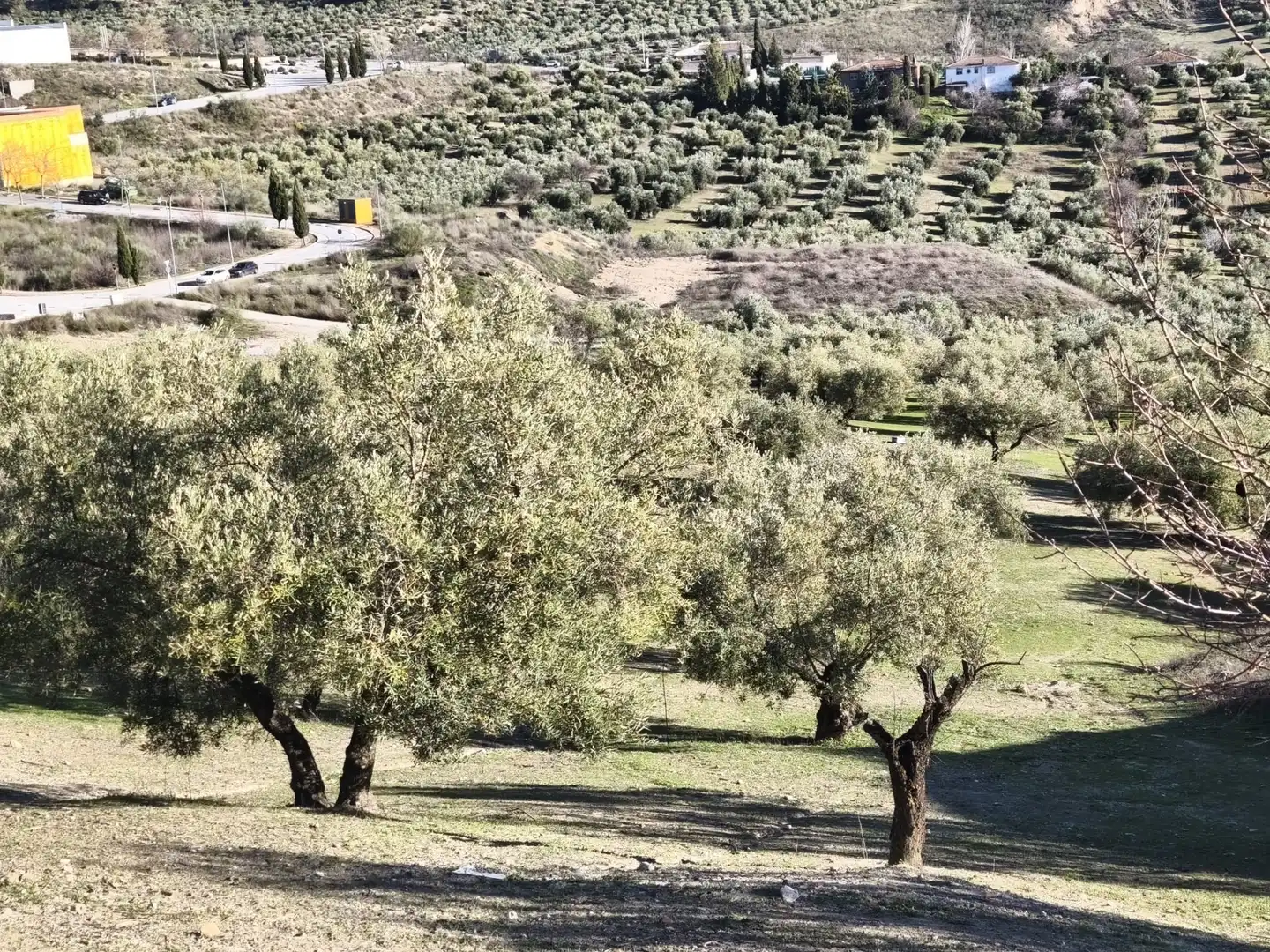 Lands and plots for sale in Alfacar, imagen 6