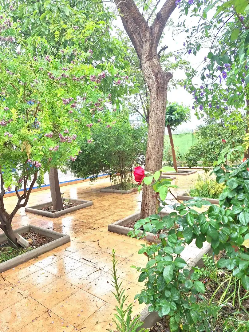 Country homes for sale in Sangonera la Seca