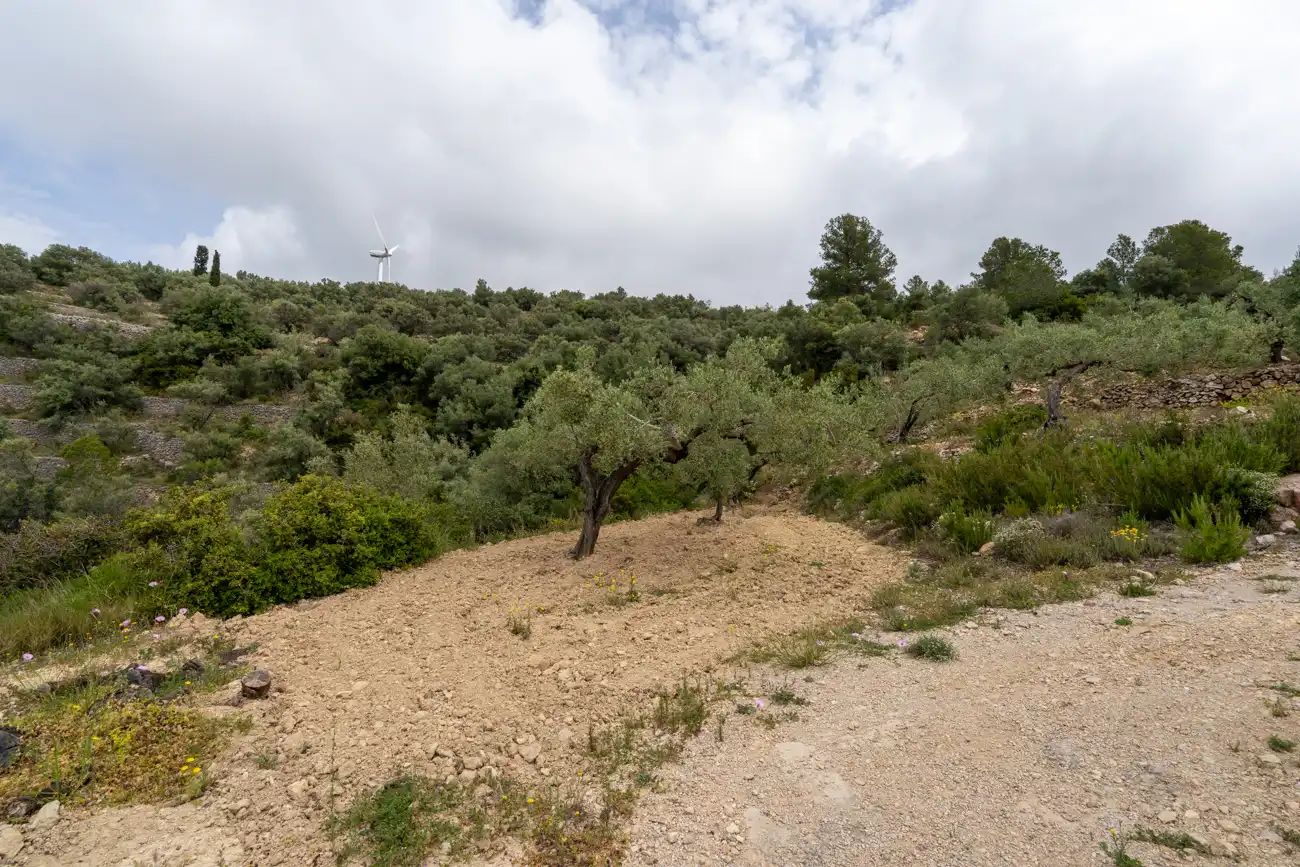 Terreno en venta en Tortosa