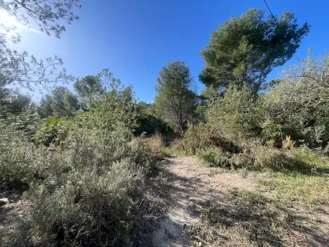 Rural land for sale in Albalat dels Tarongers, imagen 9