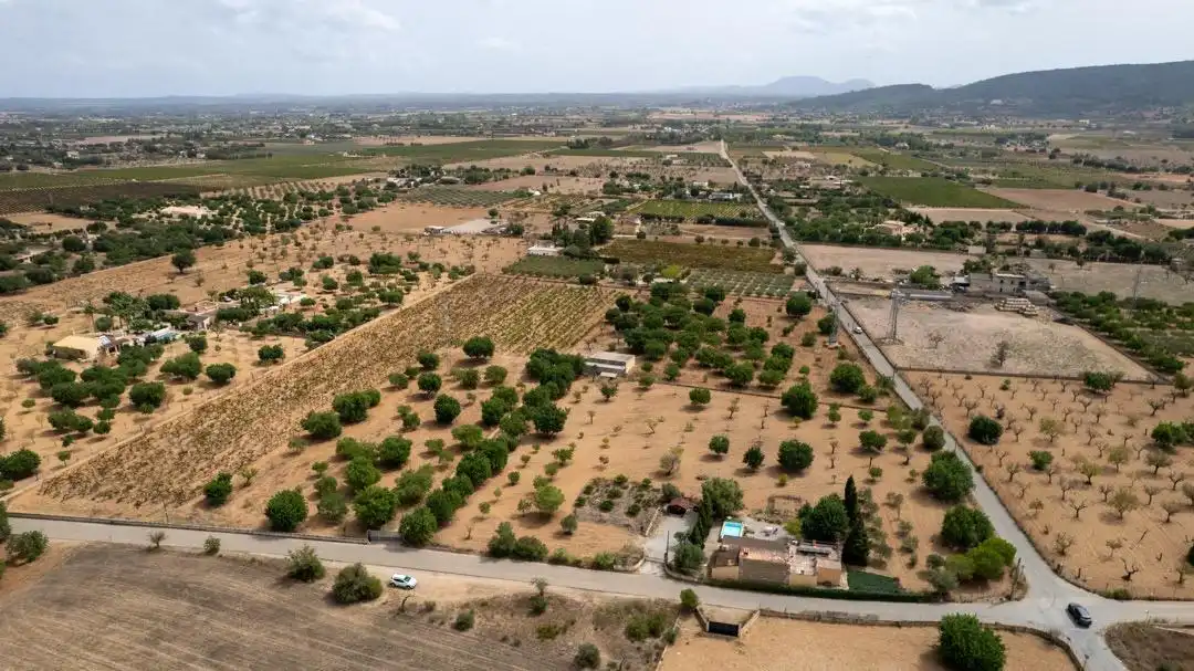 Land for sale in Consell