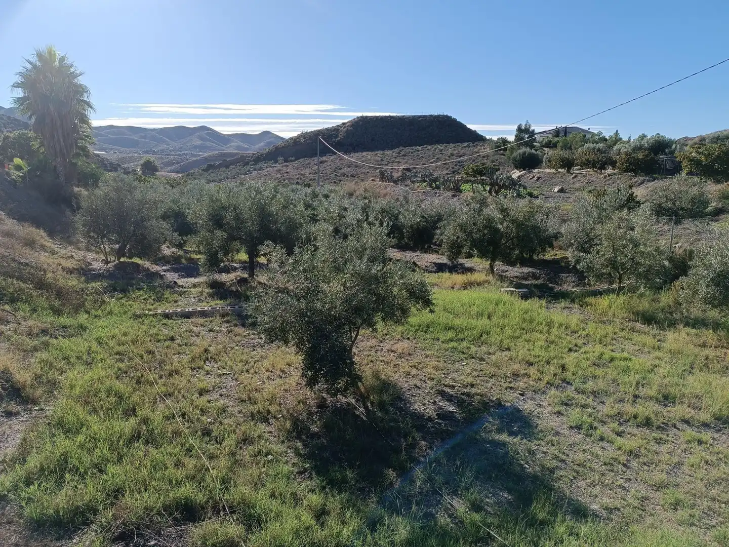 Terreno residenziale in vendita a Tébar - Los Arejos, imagen 14