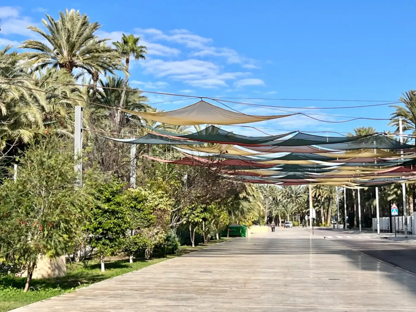 Exterior view of Ground floor for sale in Elche / Elx