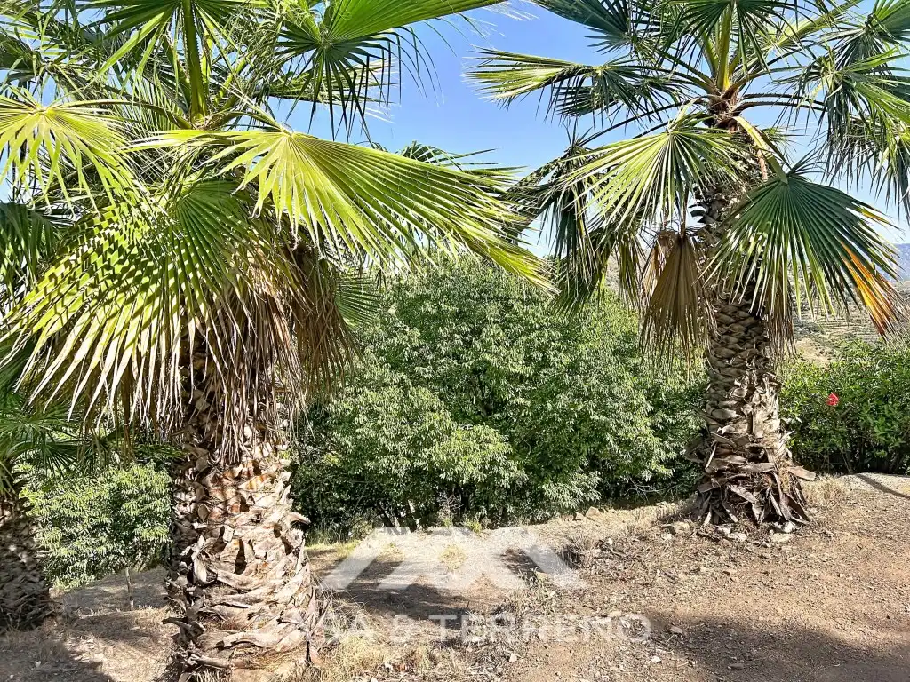 Houses for sale in Diseminados Benamayor, Cómpeta