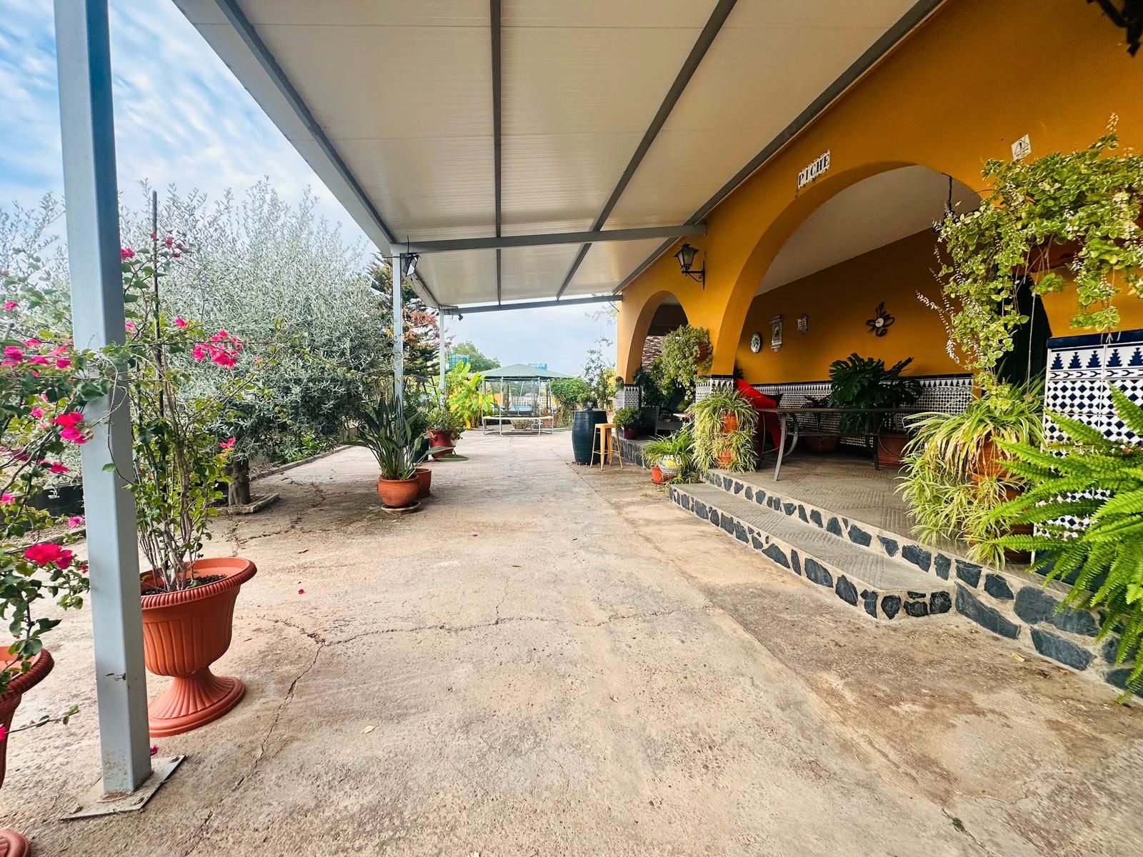 Terrace of Land for sale in Mérida