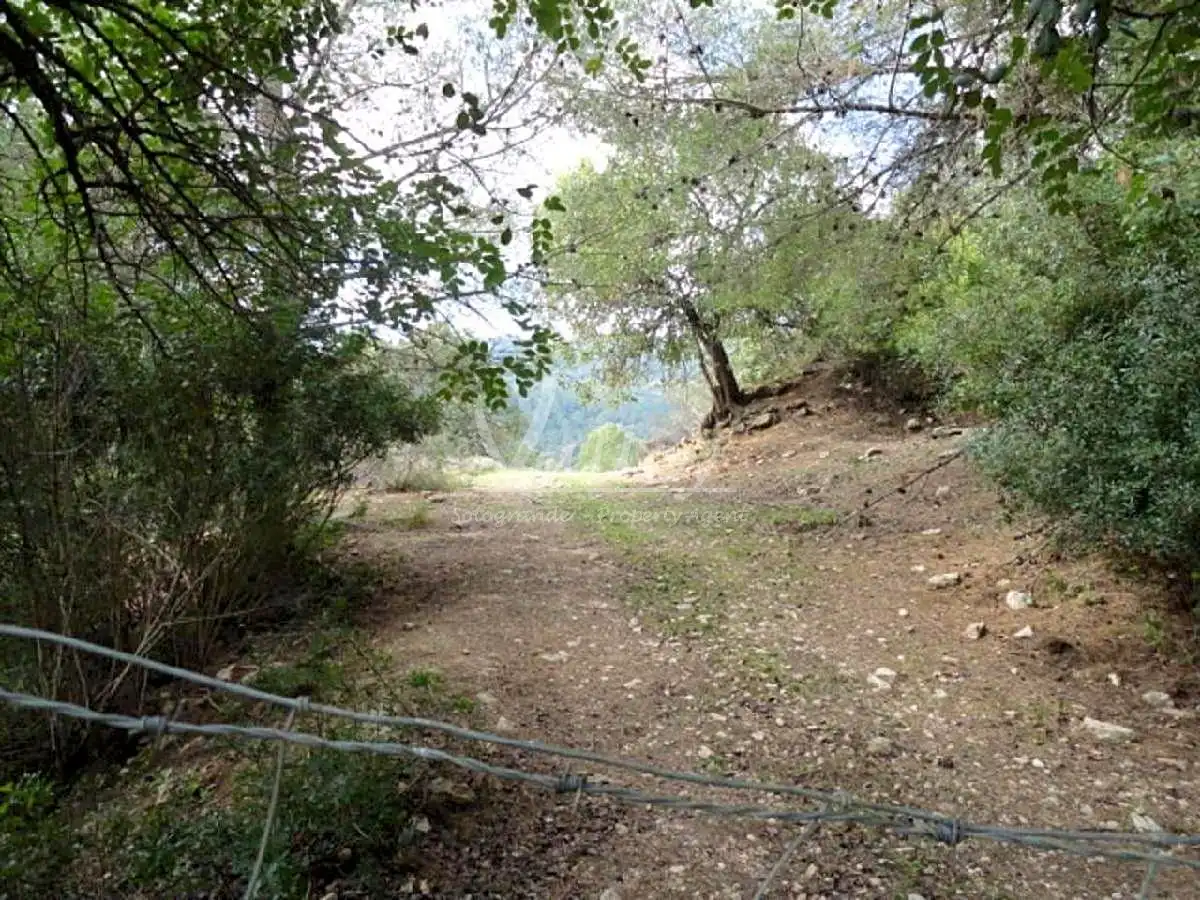 Terreni e lotti in vendita a None, imagen 9