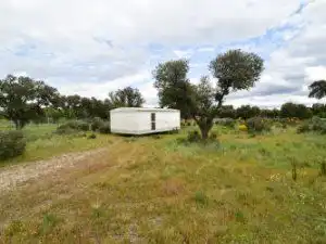 Terreni e lotti in vendita a DE LOS ALAMOS