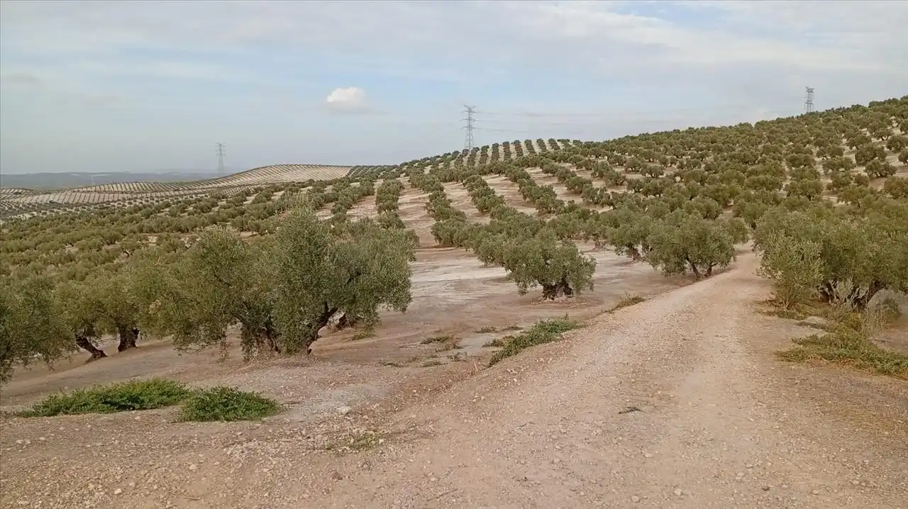 Wohnbaugrundstück zum Verkauf in Pajaro Verde, imagen 4