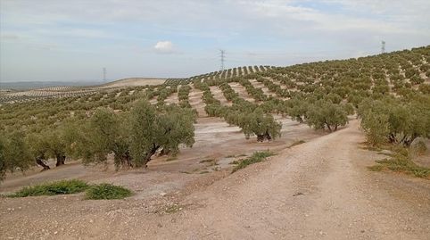 Foto 4 von Residential zum Verkauf in Pajaro Verde, Jauja, Lucena