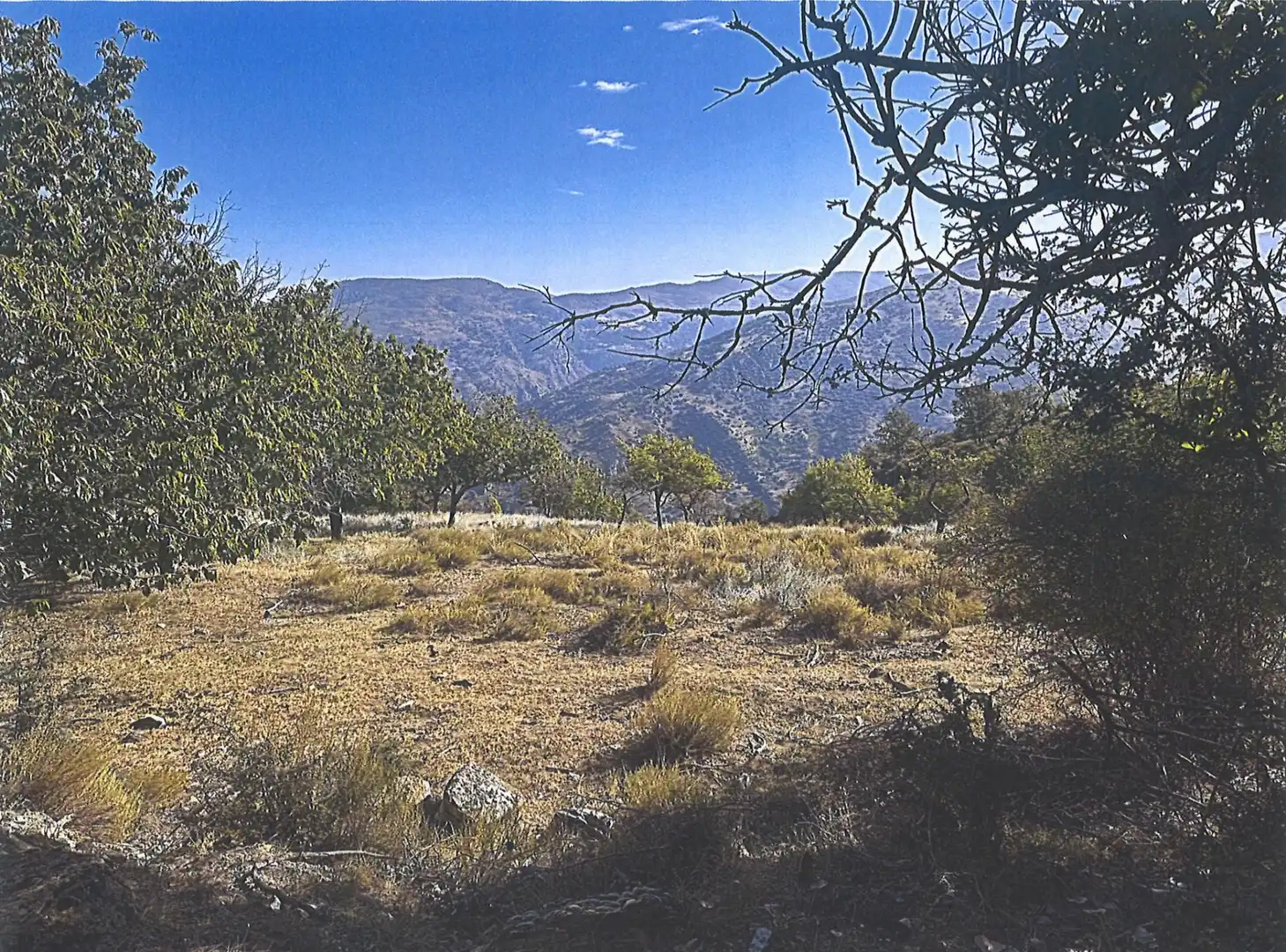 Terreno residenziale in vendita a Calle Carretera, imagen 2