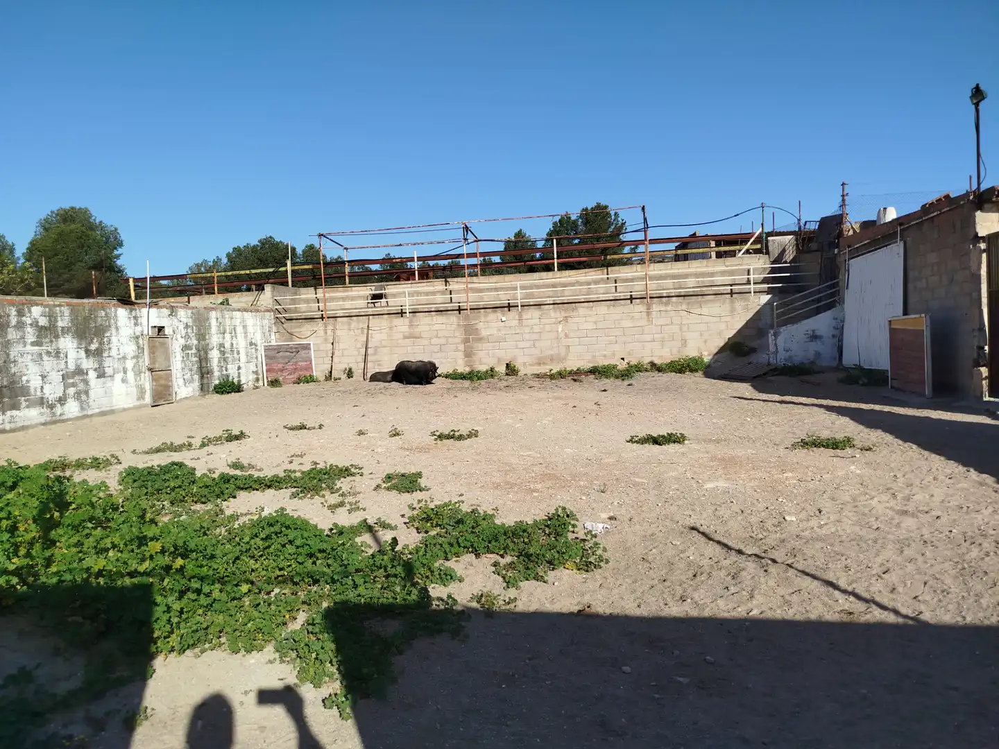 Rustikales Grundstück zum Verkauf in Carrer Pintor Ferrer, imagen 6