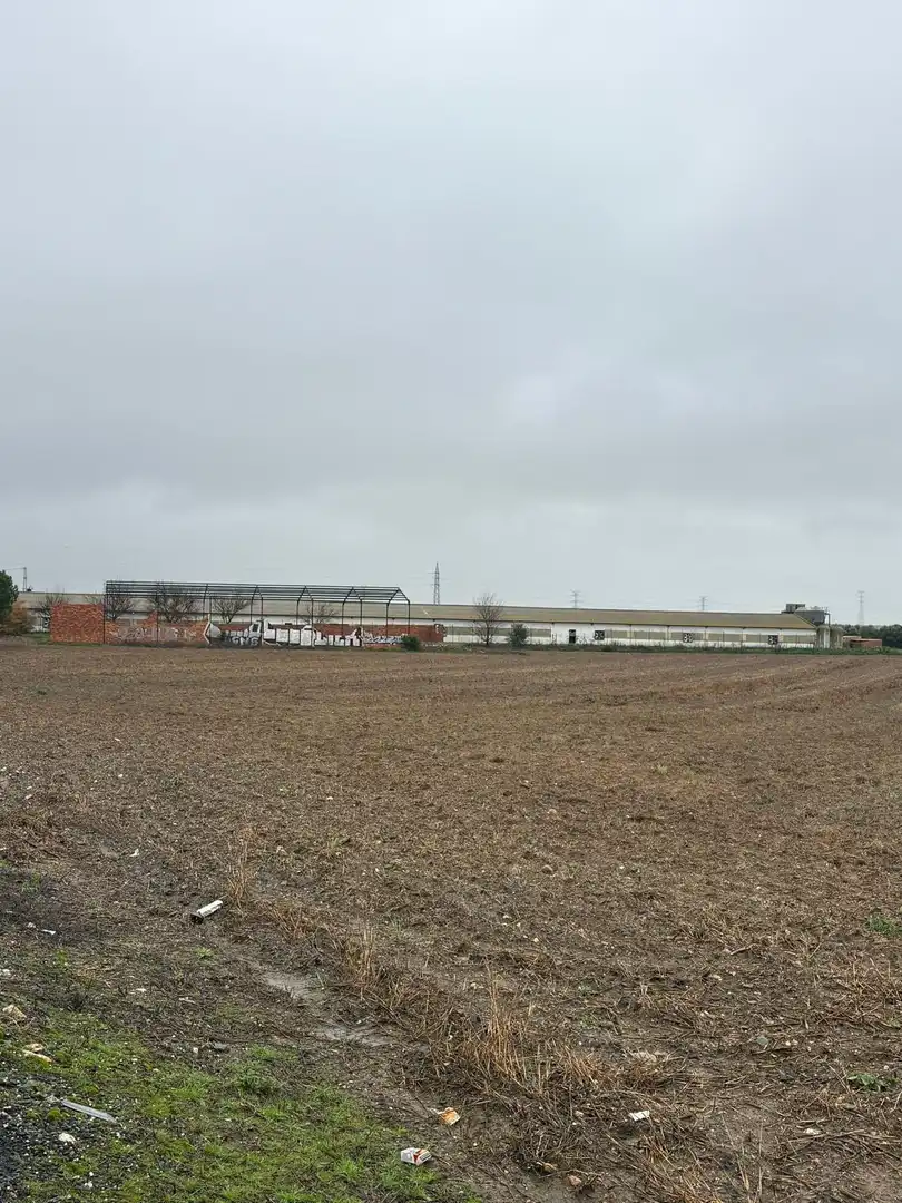 Terreno rustico in vendita a La Orden, imagen 17
