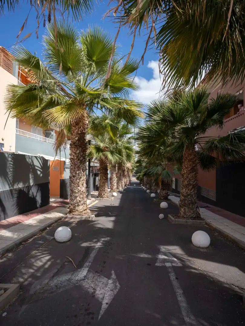 Vista exterior de Apartament en venda en Güímar amb Parquet, Terrassa i Traster