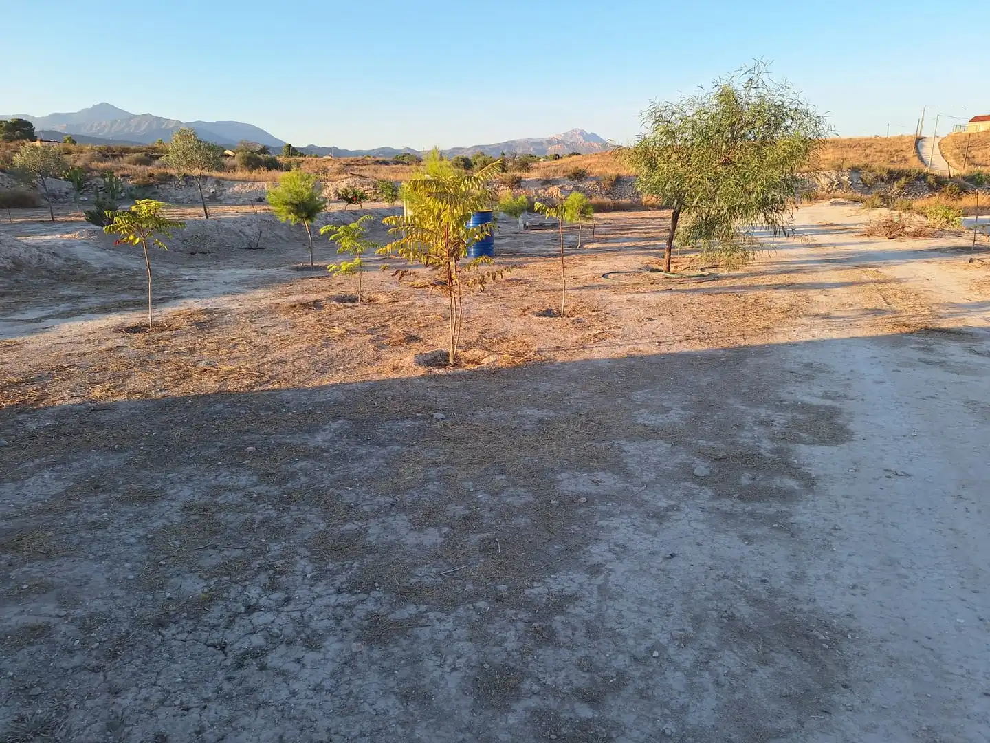 Casa rústica en venta en Partidas de Alicante, imagen 14