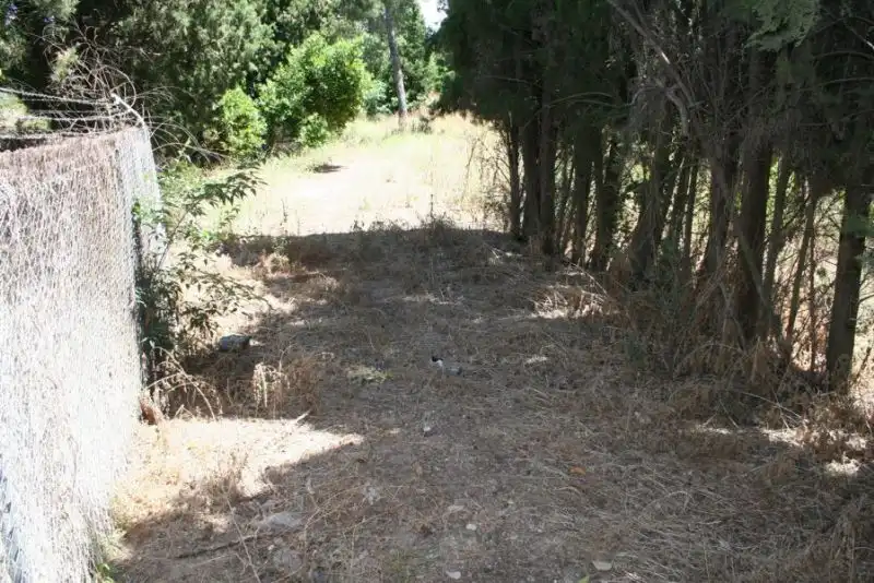 Terrenos y solares en venta en El Retiro - Parque Atlántico - Ronda este, imagen 2