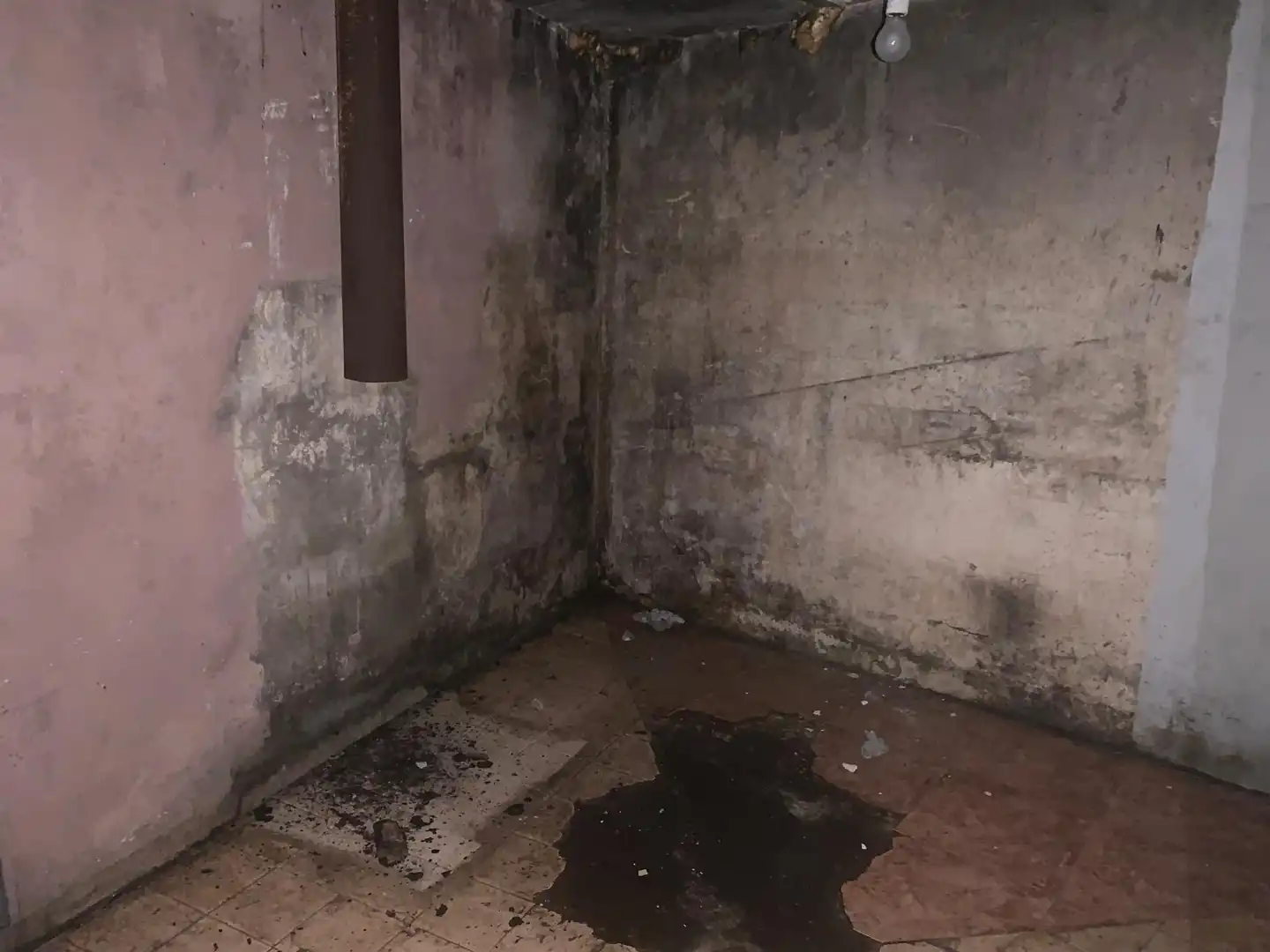 Casa o xalet en venda en Ferrol amb Alarma
