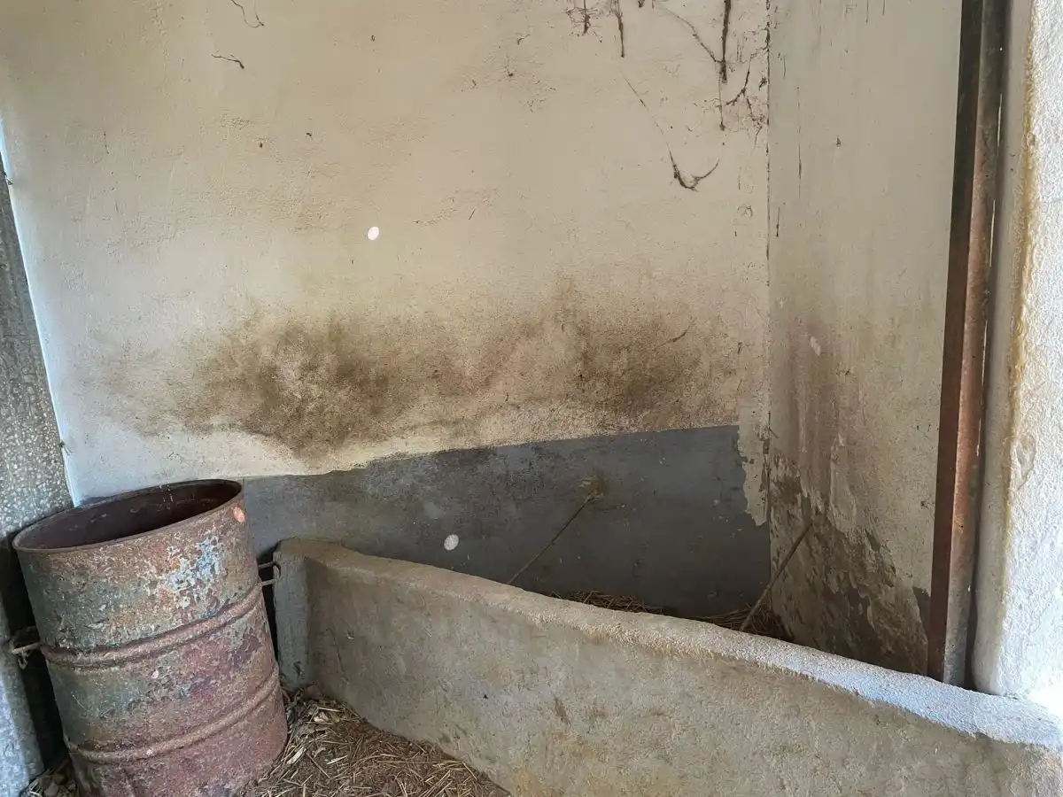 Casa rústica en venda a Bollullos Par del Condado, imagen 11
