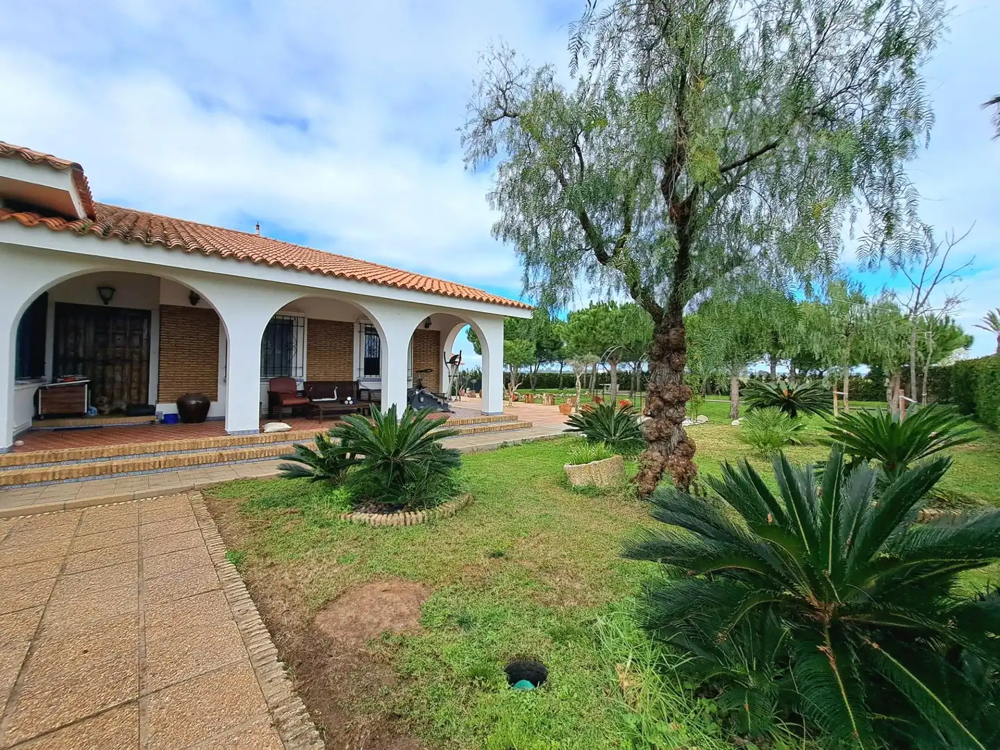 Casa o xalet en venda a Calle Calle de las Zancudas, 38, Isla Canela