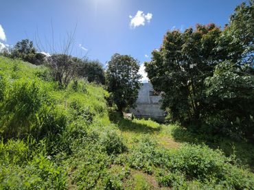 Country house for sale in Moya (Las Palmas)