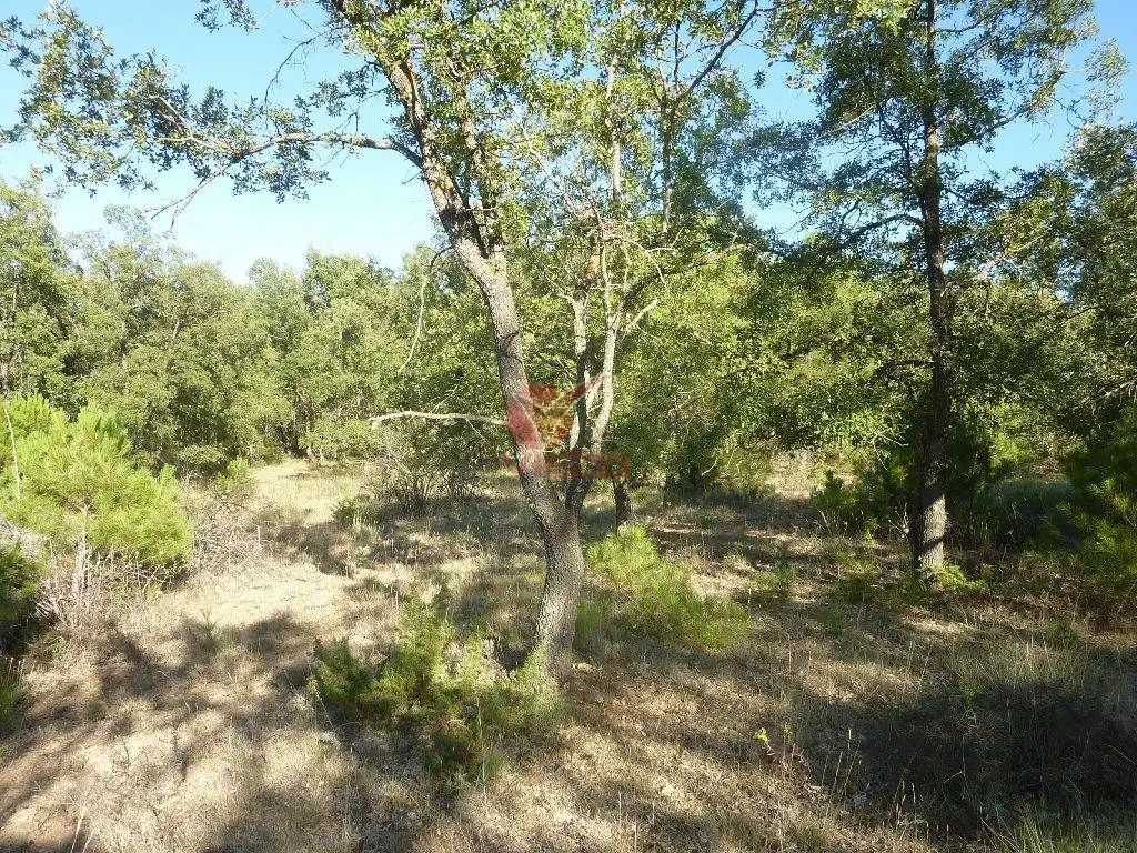 Terreni e lotti in vendita a JABAGA, CTRA. MADRID, KM 164 (CABREJAS), imagen 2
