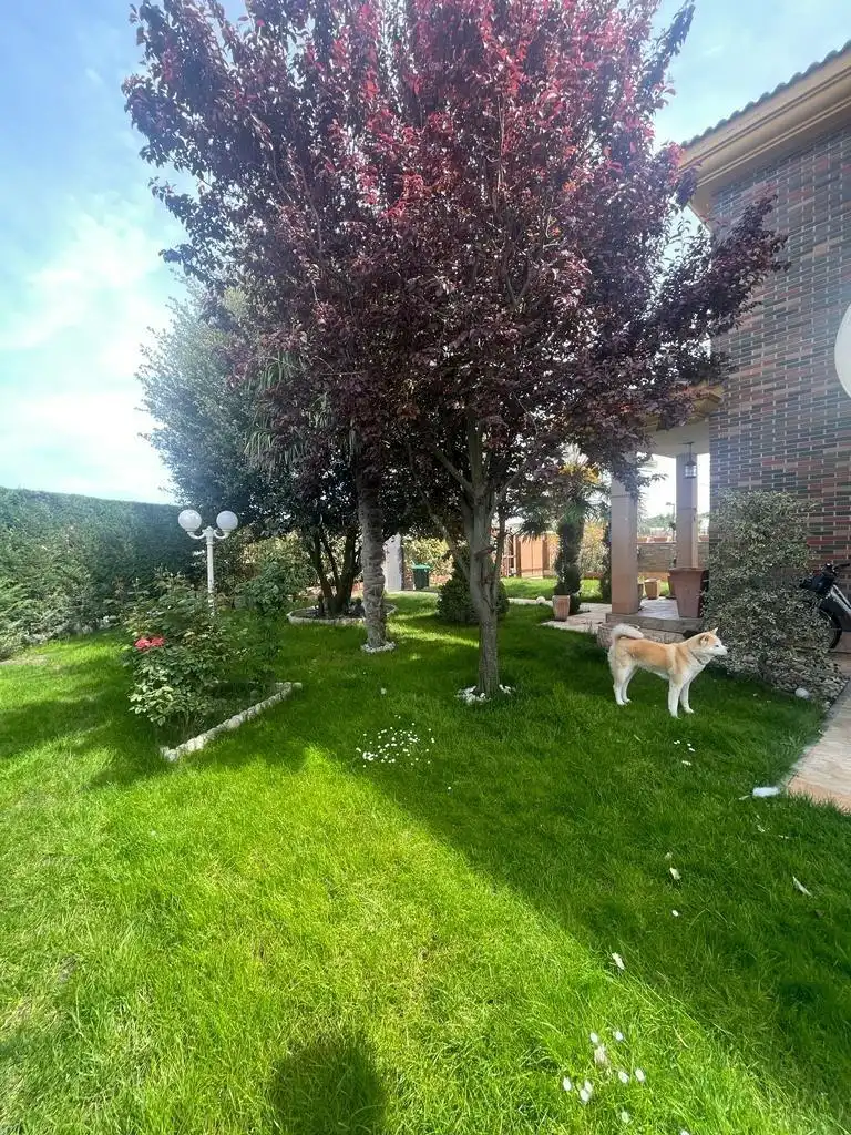 Detached house with pool for sale in Laguna de Duero, imagen 20