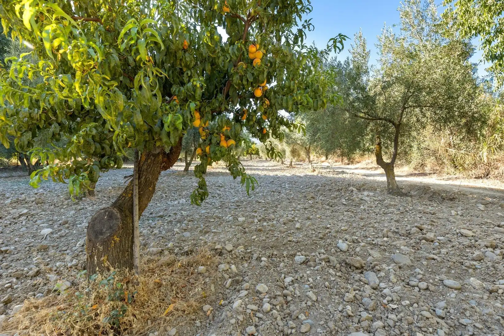 Rustikales Grundstück zum Verkauf in Calle rio bermejo, imagen 3