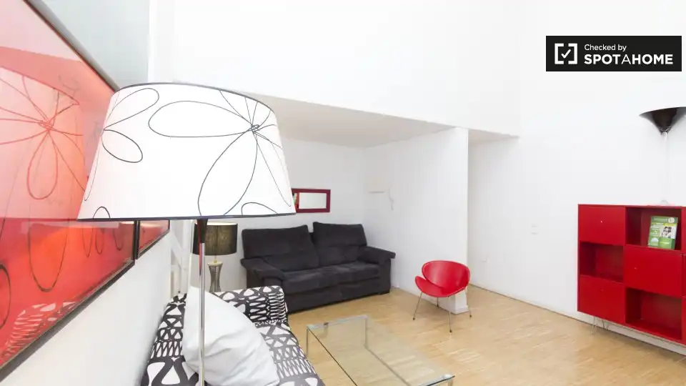 Pis de lloguer a Centro