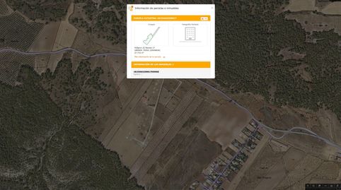Finca de 27.715 metros a escasos metros del Cajiz de San Gregorio, immagine 5