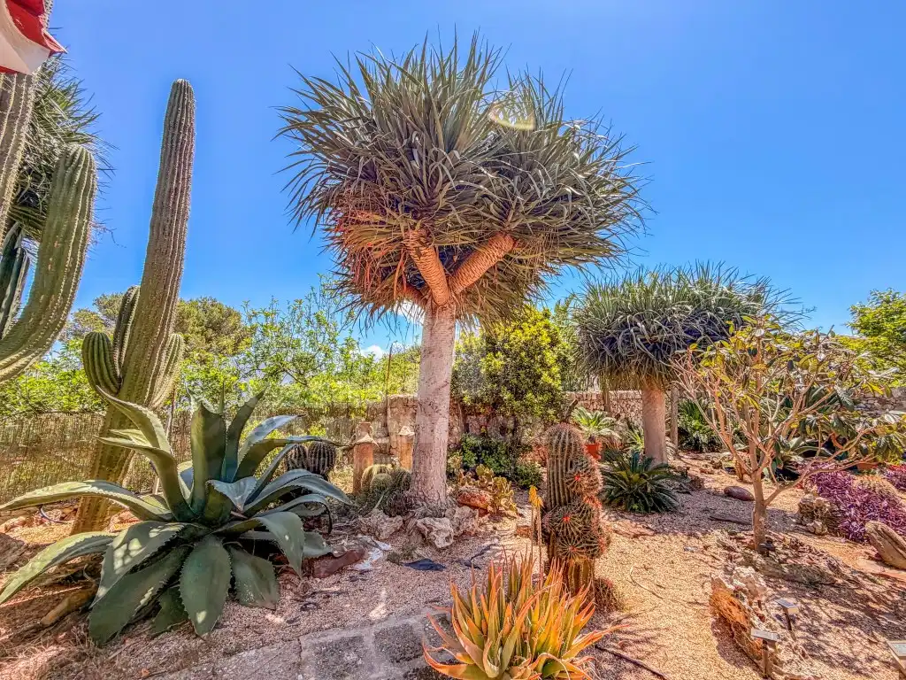 Jardí de Finca rústica en venda en Ciutadella de Menorca amb Aire condicionat i Terrassa