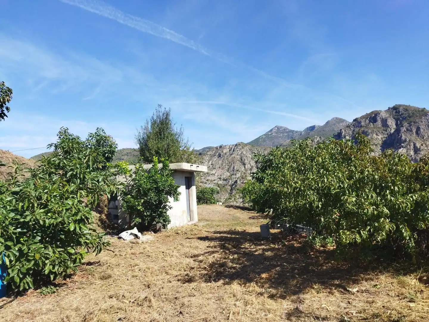 Jardín de Finca rústica en venta en Motril con Jardín privado