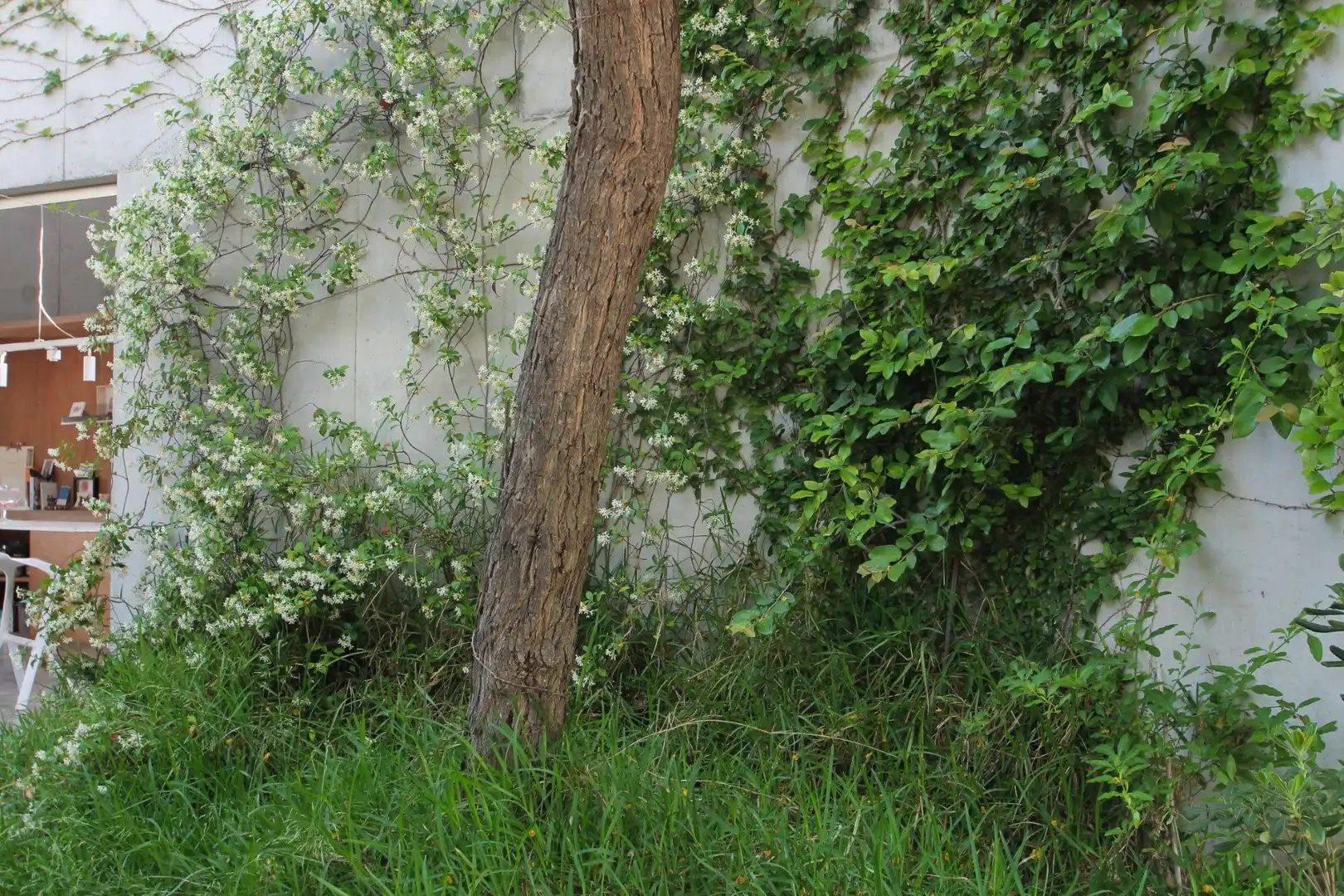 Garden of Houses for sale in San Vicente del Raspeig / Sant Vicent del Raspeig  with Private garden, Storage room and Swimming Pool