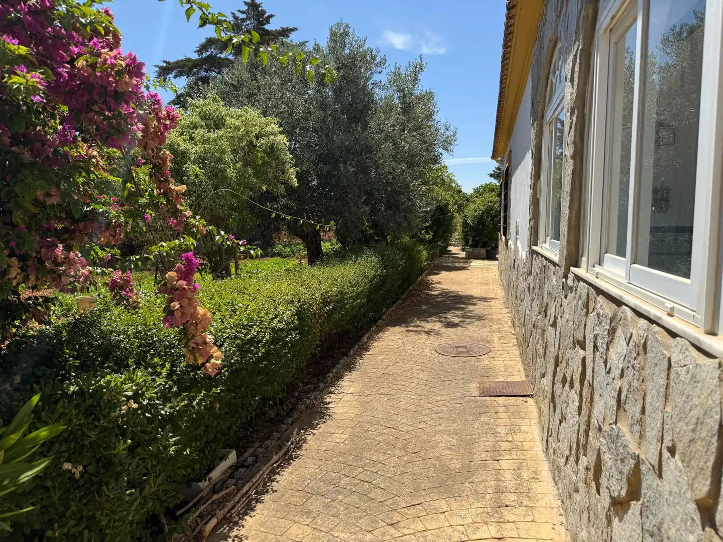 Chalet con piscina en venta en PAGO HOZANEJOS, imagen 24