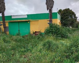 Vista exterior de Nau industrial en venda en Cedillo del Condado